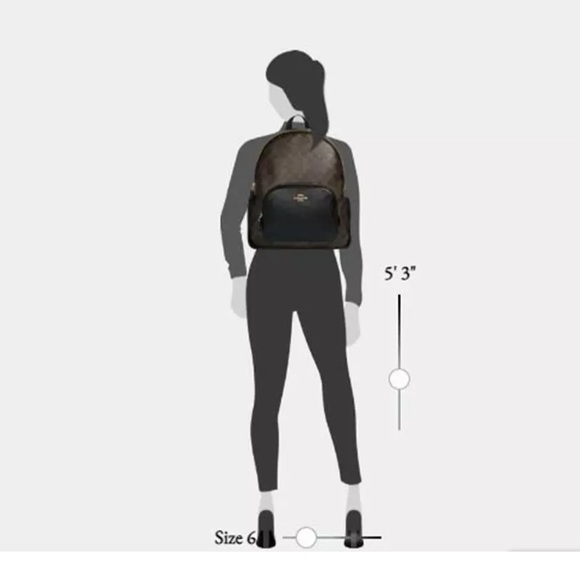 Large Court Backpack In Signature Canvas Black / Brown - Picture 11 of 15